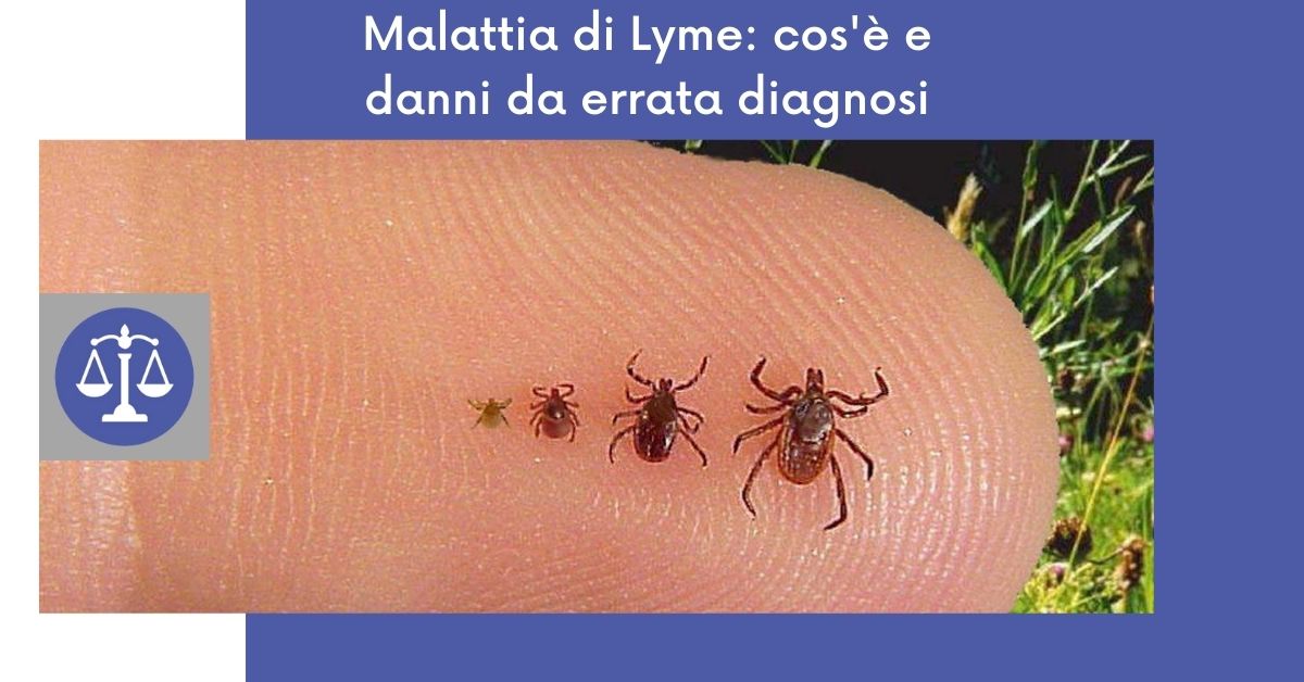Malattia di Lyme Malattia di Lyme